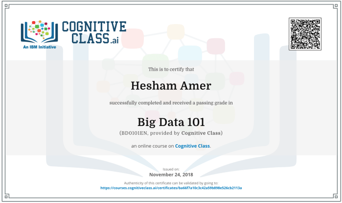 Screen Shot 2018-11-24 at 1.38.25 PM.png